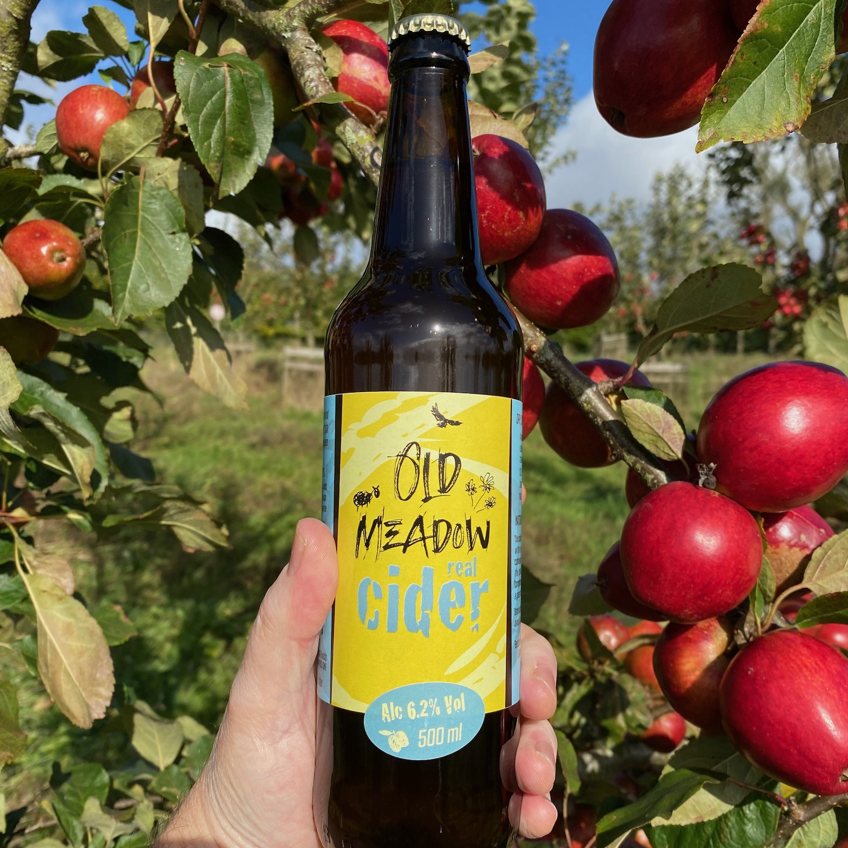 Old Meadow Cider