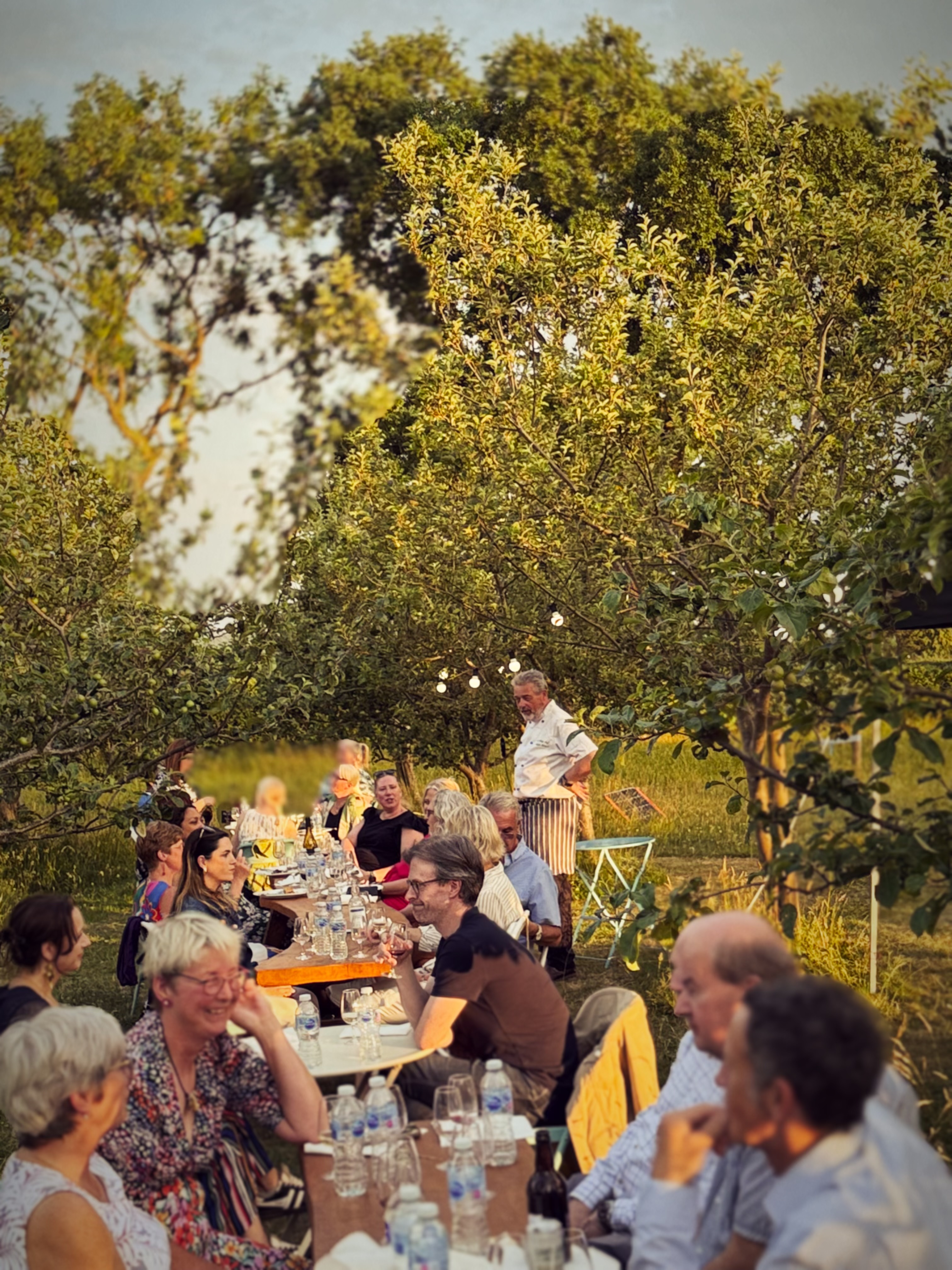 Amber Valley Vineyards and Orchards